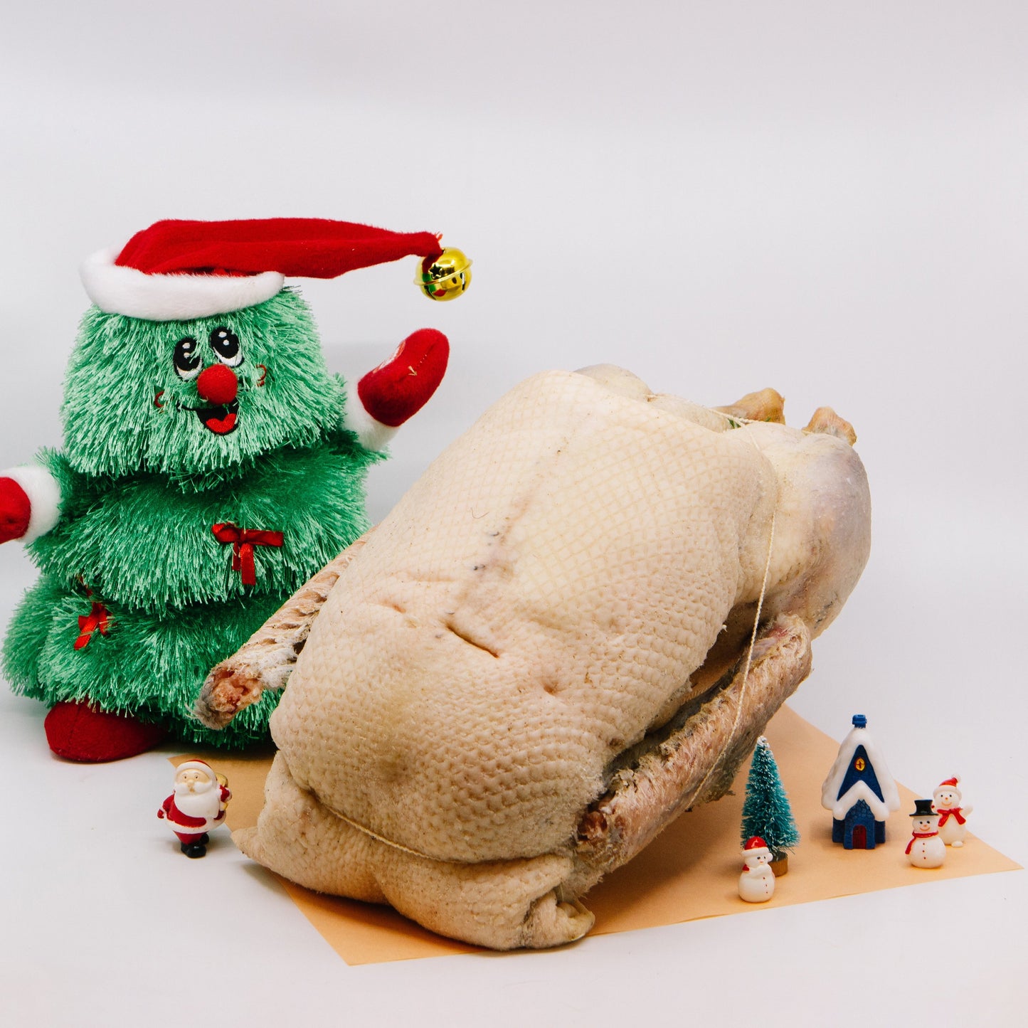 Whole Free Range Goose