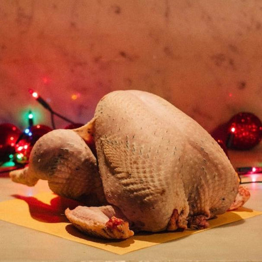 Thanksgiving Free Range Turkey
